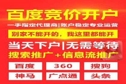 SEM推广策略：成功案例分享与优化技巧